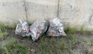 ３３９バイパスゴミ拾い アイキャッチ