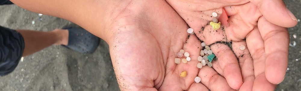 NPO法人海掃 カバー