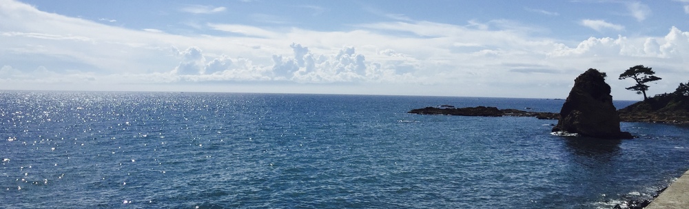 漂流物探偵(草の根広告社) カバー