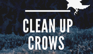 Clean Up Crows in 大岡山 アイキャッチ