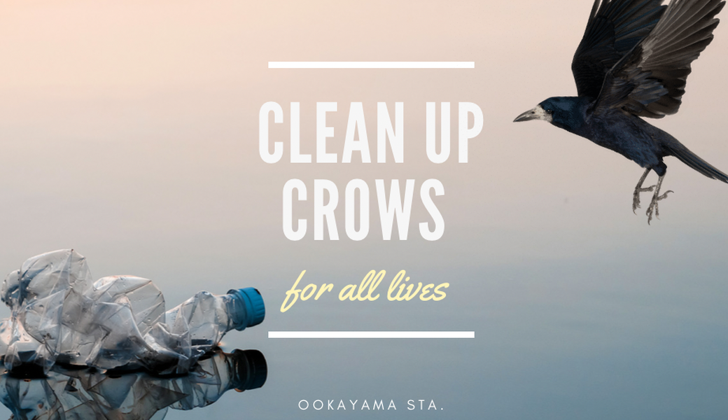 CleanUp Crows アイキャッチ