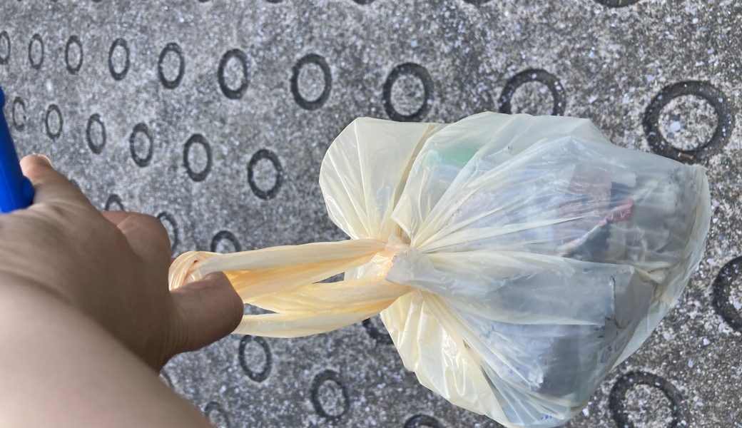 園のお迎えがてらポケごみ レポート