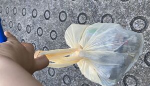 園のお迎えがてらポケごみ アイキャッチ