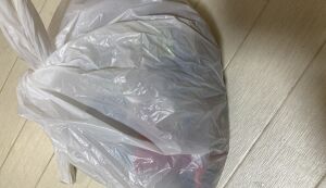 保育園お迎えゴミ拾い アイキャッチ