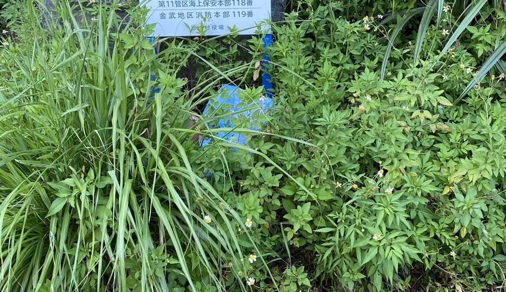 Oki clean vol.62 レポート