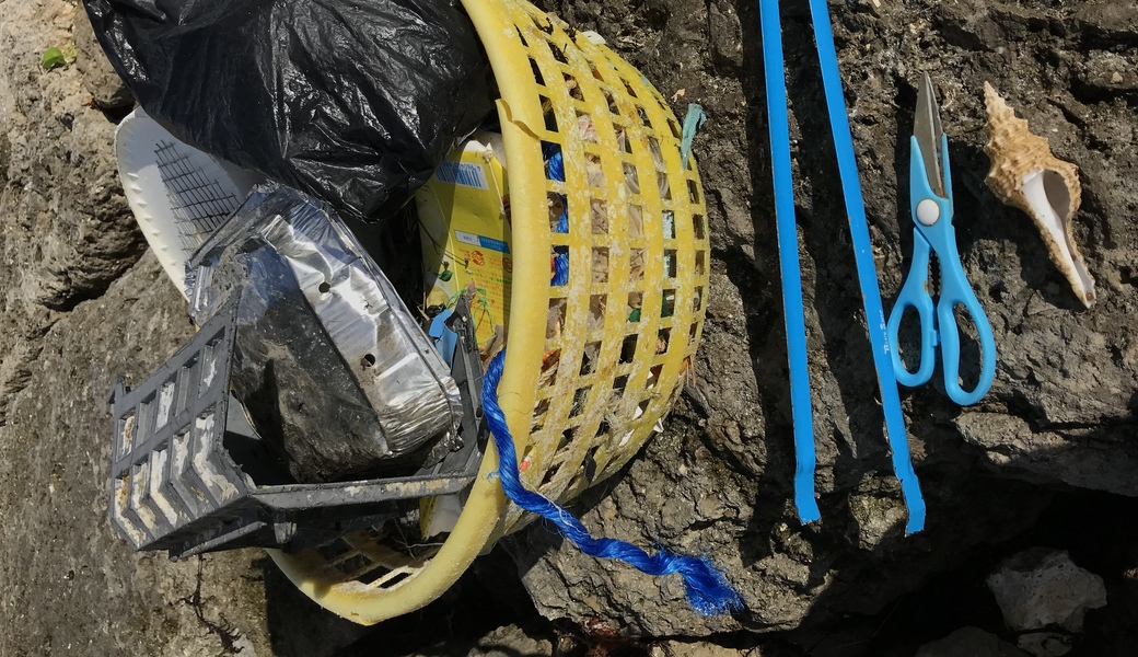 OKI_clean no.11 レポート