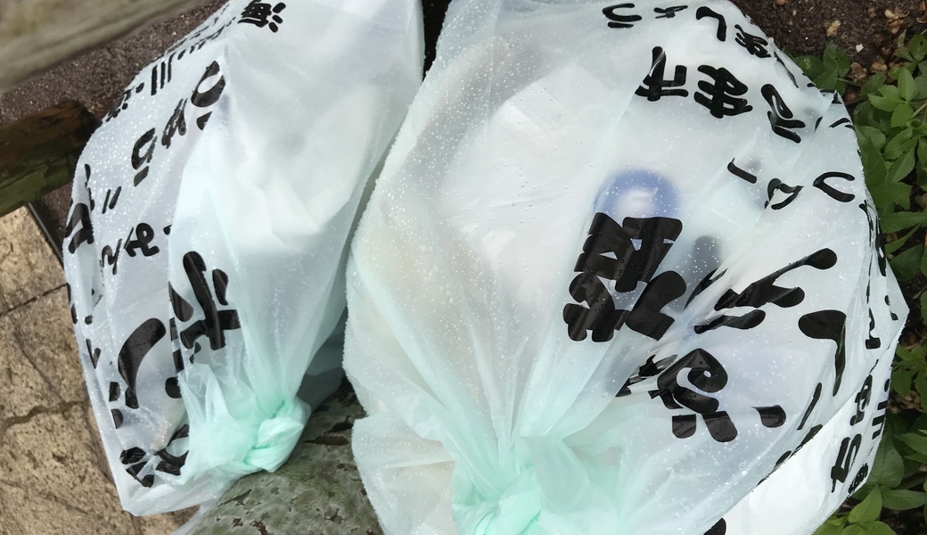 OKI_clean_No.12 レポート