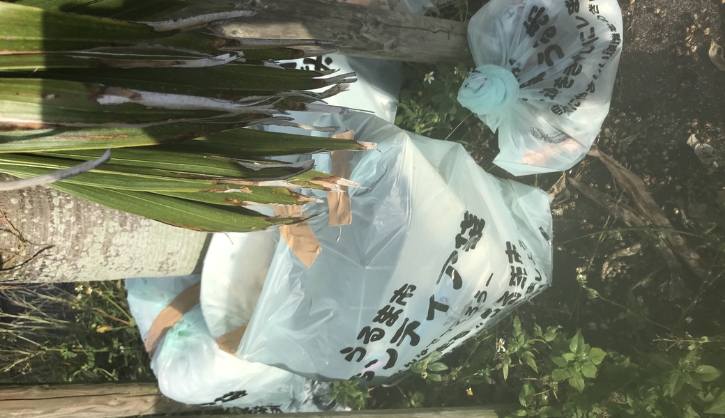 OKI Clean No. 24 レポート