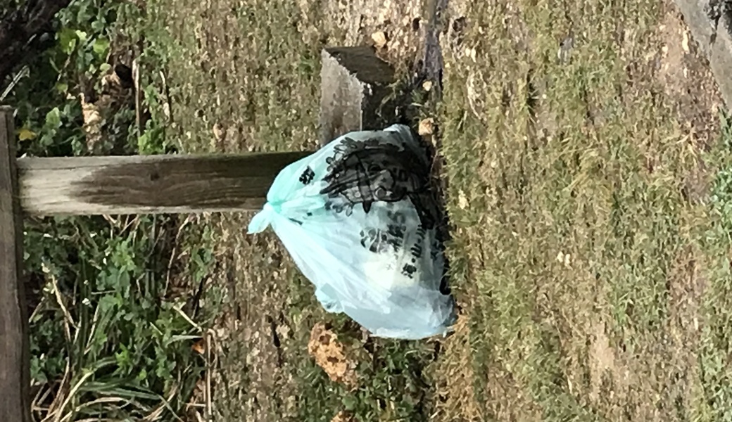 Oki clean no.28 レポート