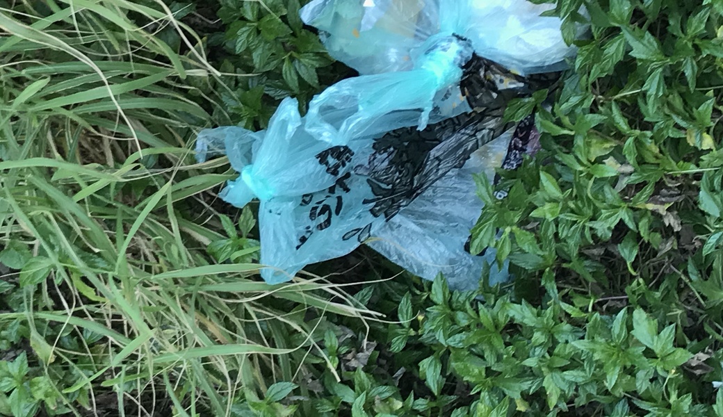 Oki clean no.28 レポート