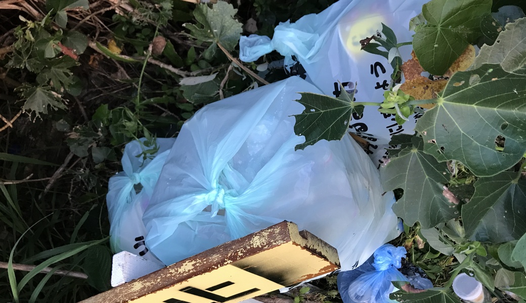 OKI_Clean No.37 レポート