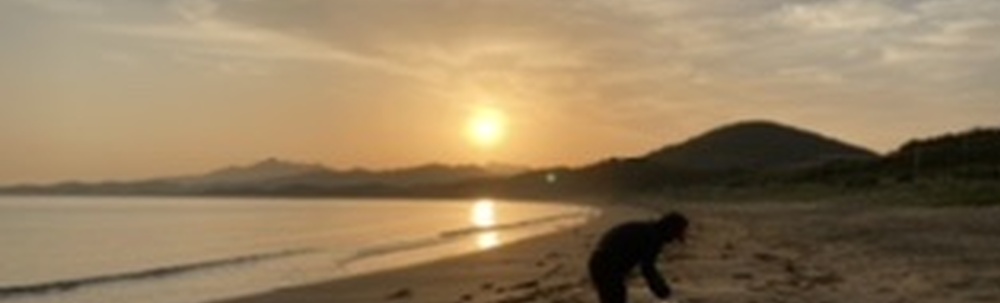 Life Investigation Agency (LIA) カバー