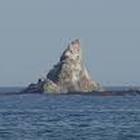 茅ヶ崎烏帽子岩遠泳部 プロフィール