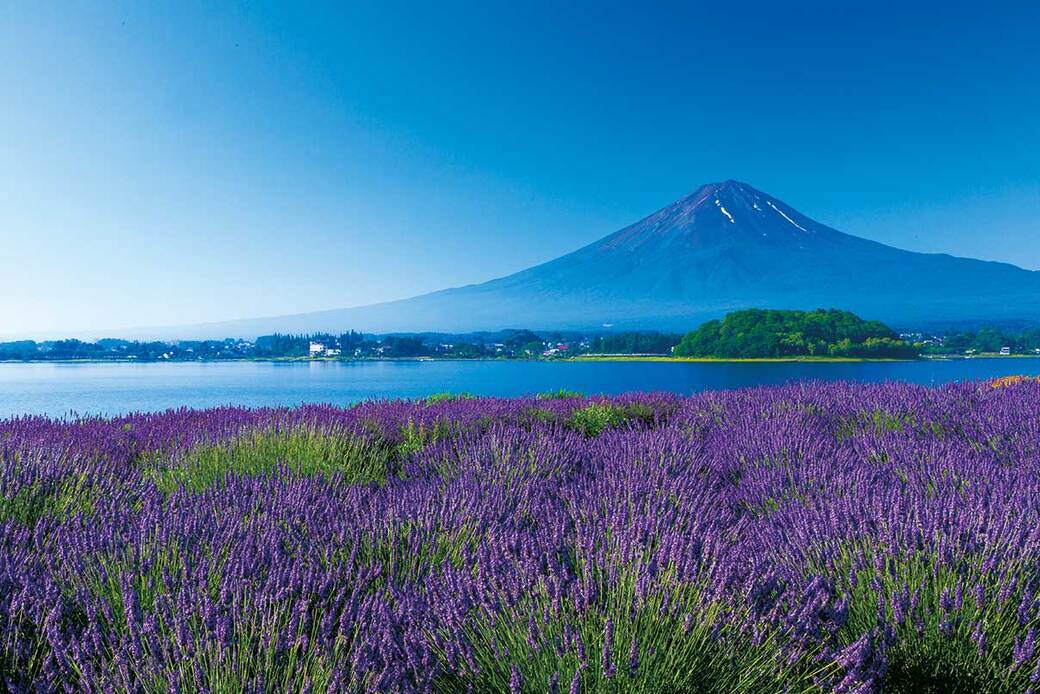 活動開始！ アイキャッチ