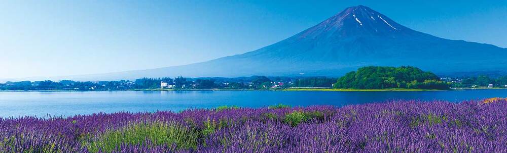 河口湖「山さくら」 カバー