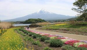 第2回　大石公園ゴミZERO会 アイキャッチ
