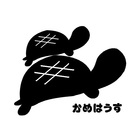 ダイビングショップかめはうす プロフィール