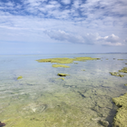 Nettoyer la terre プロフィール