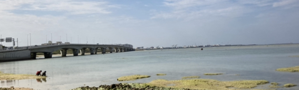 Nettoyer la terre カバー