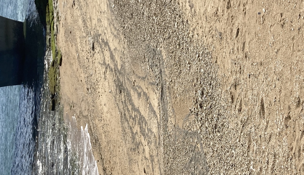 第二回カーミージー清掃 レポート