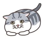 Wish the Blue プロフィール