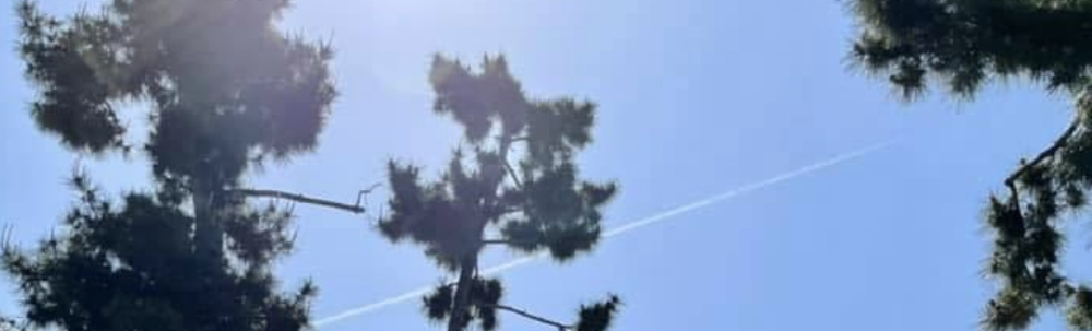 和のあかり カバー