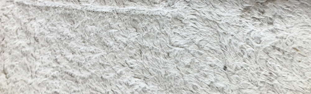 しんちゃん カバー