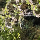 miu プロフィール