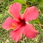 LoveMyTown★ プロフィール