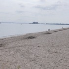 Pick Up SEIAN プロフィール