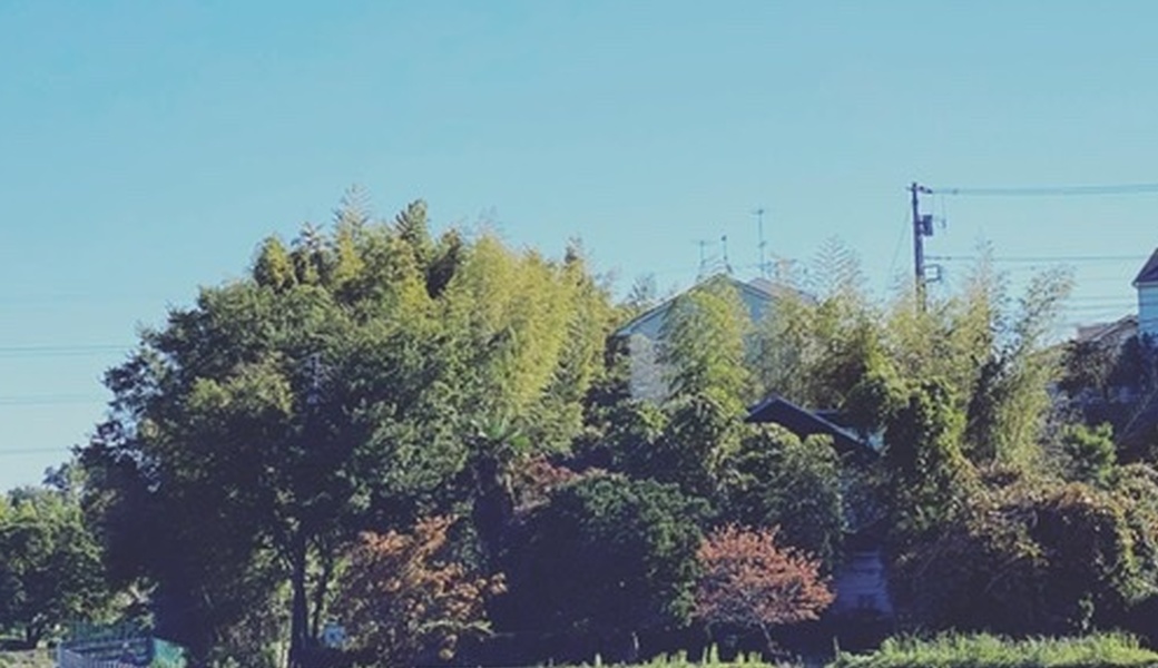 リバークリーン　鶴見川　丸山橋あたり アイキャッチ