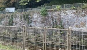 River Clean 鶴見川ほぼ上流春日橋から関 ... アイキャッチ