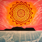 綺麗にしたビーチでお茶したい プロフィール