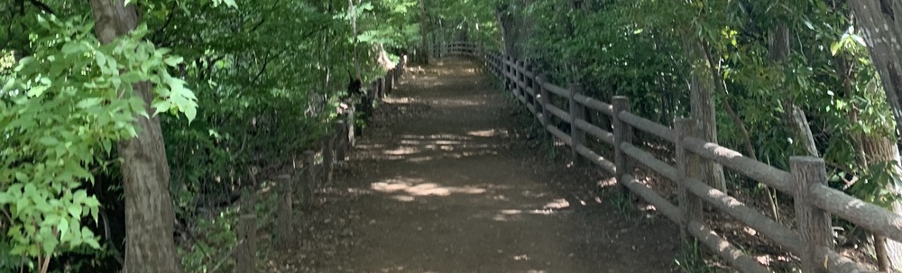 YNWA_Tokyo カバー