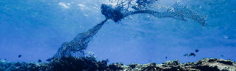 ethical store RE/AO カバー