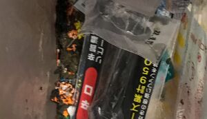 ちょこっとゴミ拾い アイキャッチ