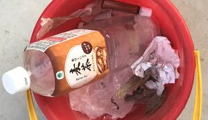 平日ゴミ拾い アイキャッチ