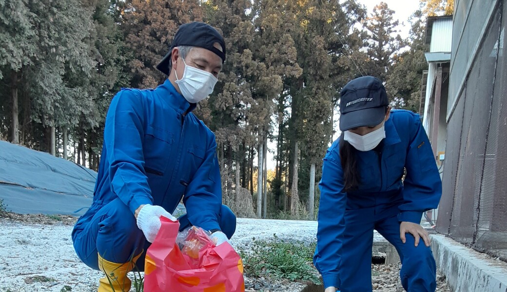 株式会社　愛鶏園　茨城事業所　ゴミ拾い・清掃活動（TY) アイキャッチ