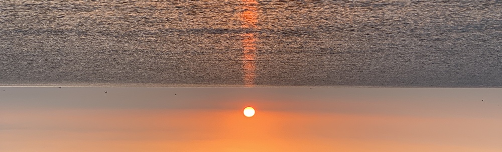ビーチクリーン　プロジェクト　夢拾い カバー