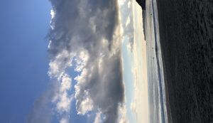 サンチャイルドビーチクリーン アイキャッチ