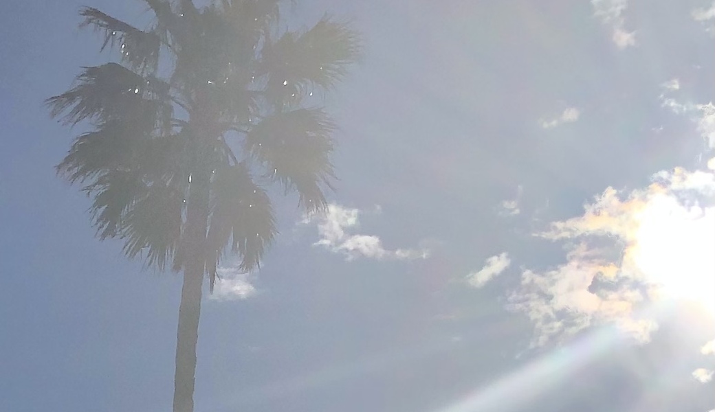 sunchild beach clean アイキャッチ