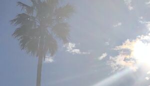 sunchild beach clean アイキャッチ