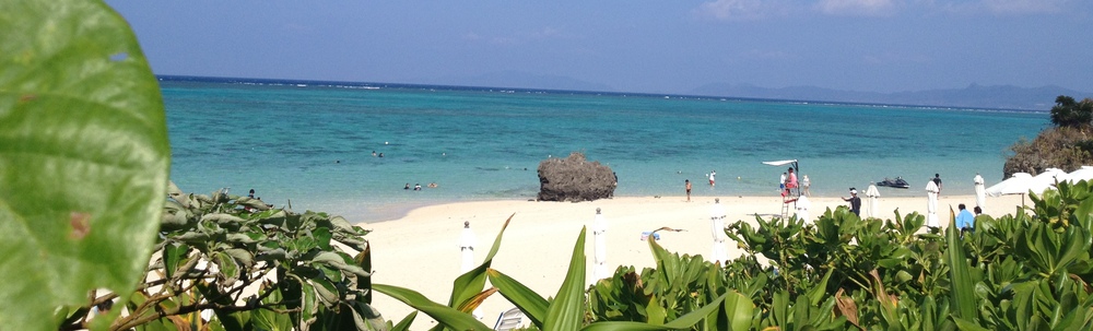 大平　真&綾子 カバー