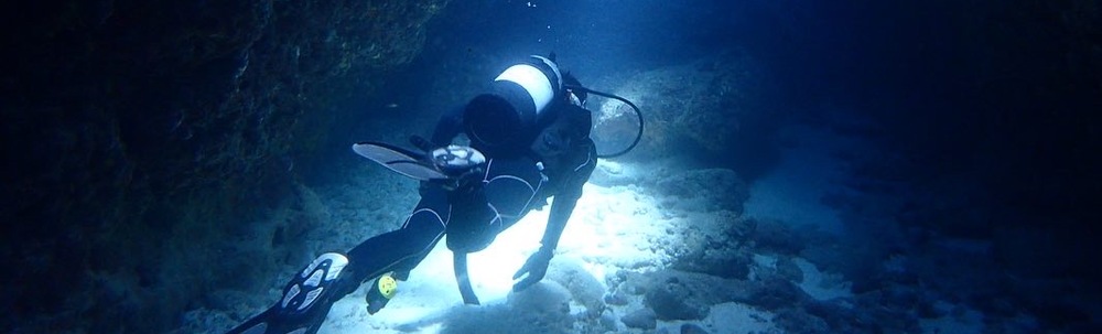 HARA CHIEKO カバー