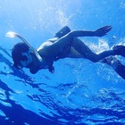 HARA CHIEKO プロフィール