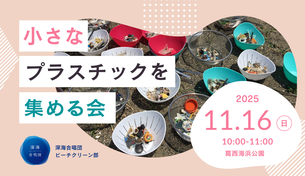 葛西海浜公園で小さなプラスチックを集める会 アイキャッチ