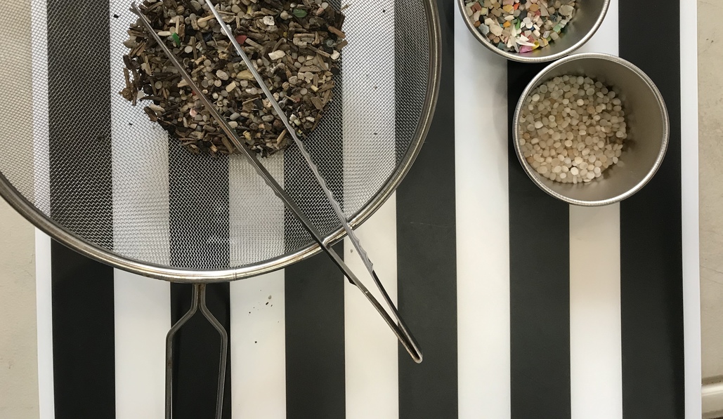 マイクロプラスチック回収 レポート