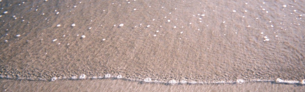 Lucharis(ルカリス) カバー