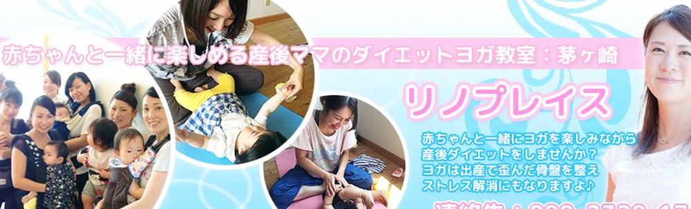 リノプレイス カバー