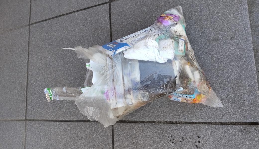 町のごみ拾い レポート